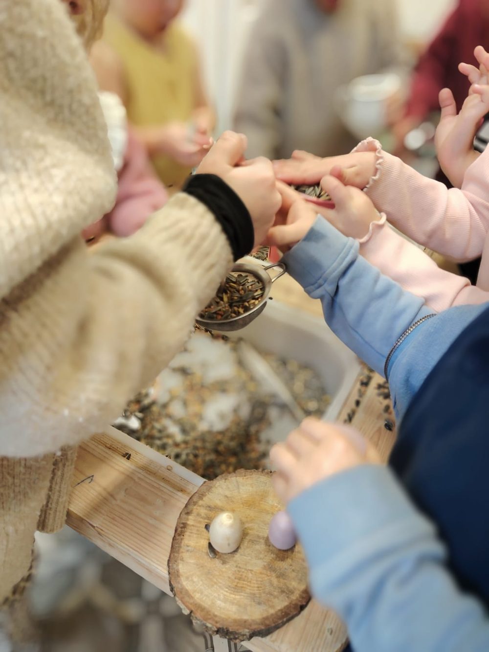 Atelier d'éveil : des mains d'enfants plongées dans un bac sensoriel de graines et de céréales